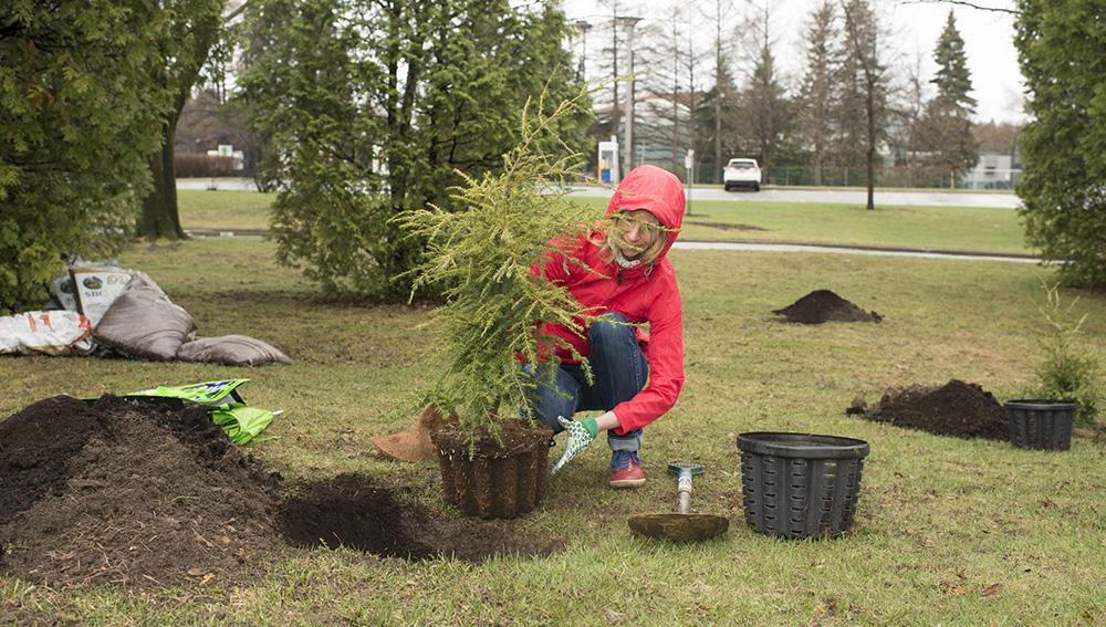 Woman planting a tree for the Jour de la Terre program